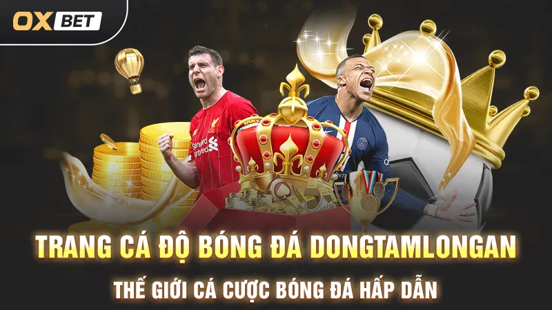 Cá độ bóng đá Dongtamlongan, trải nghiệm cá cược thú vị